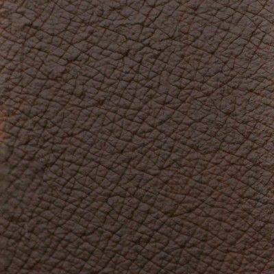 Queen Esoteric Eyebrow Pomade Choc Chip